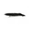 Black and Silver Snake
