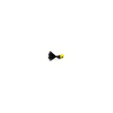 Black Booby