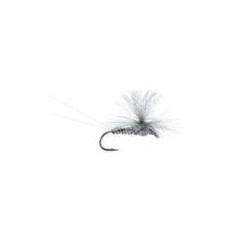 Bears Hendrickson Parachute