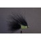Black Cats Whisker