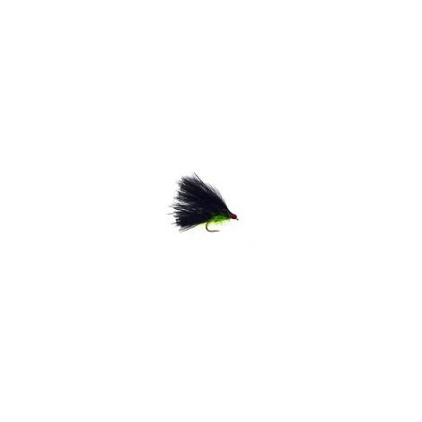 Black Straggle Cat