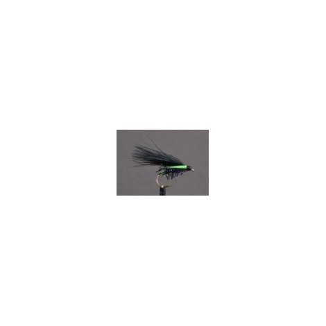 Black Straggle Cormorant