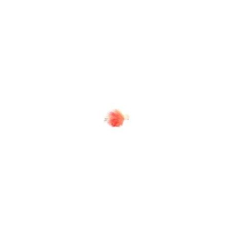 Blobby Booby Coral Spot
