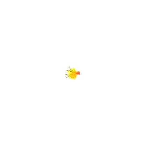 Blobby Booby Sunburst with Wings