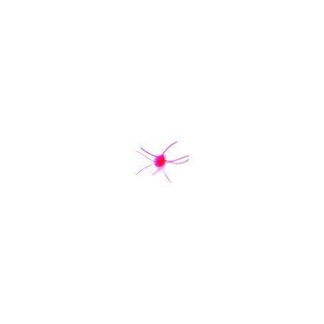 Blobby Worm Pink