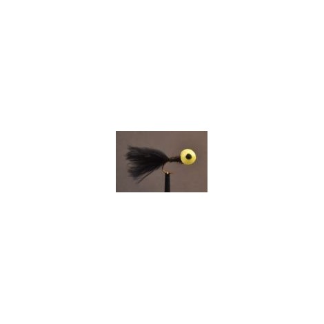 Booby  Black
