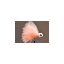 Booby  Coral