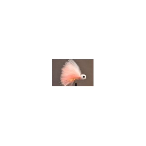 Booby  Coral