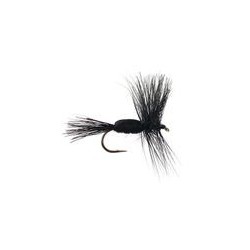 Humpy Black