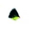 Cat Straggle Black