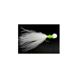 Cats Whisker Booby