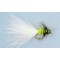 Cats Whisker Leadhead