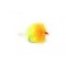 Cocktail Sunburst Blob