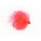 Coral Blob