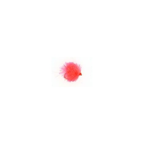 Coral Blob