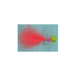 Coral Fritz Booby