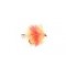 Coral Spot Blob