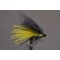 Cormorant Black & Yellow