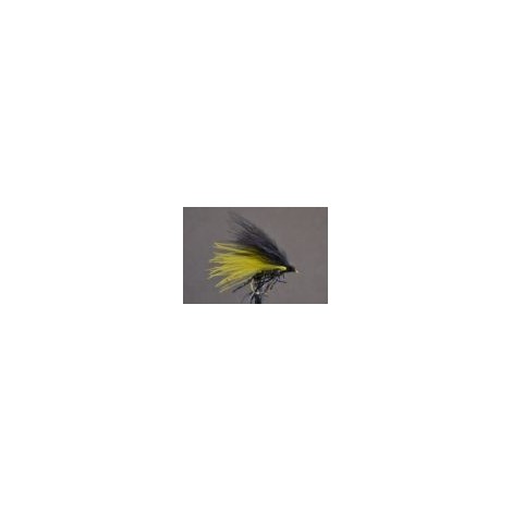 Cormorant Black & Yellow