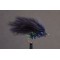 Cormorant Black Straggle