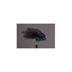 Cormorant Black Straggle