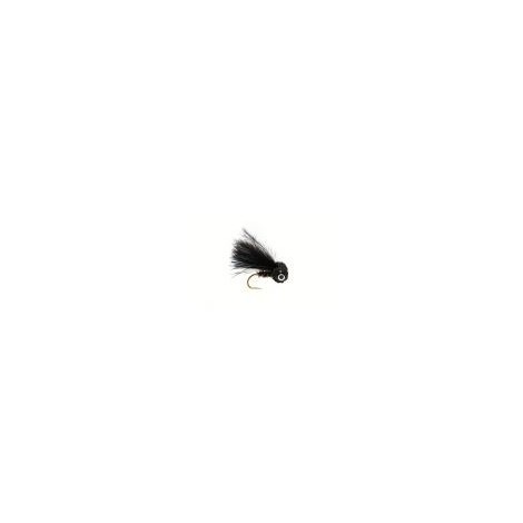 Cormorant Booby