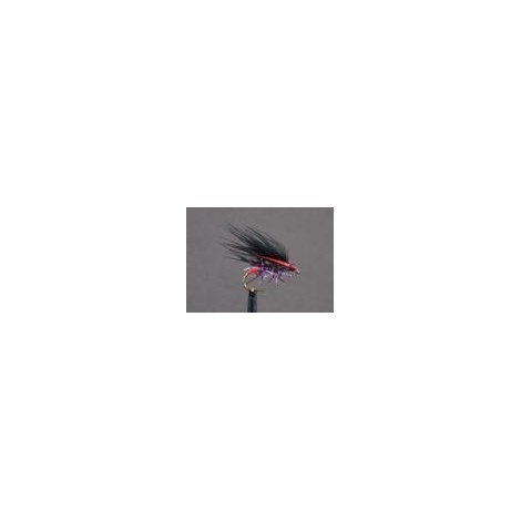 Cormorant Claret Straggle