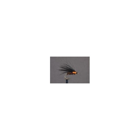 Cormorant Diawl Bach Holo Red
