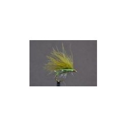Cormorant Olive Straggle