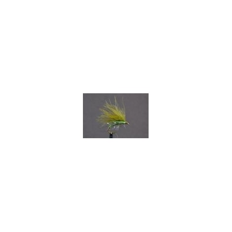 Cormorant Olive Straggle