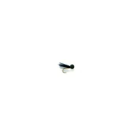 Cormorant Traffic Light Booby