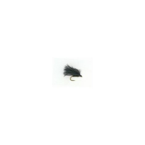 Cormorant
