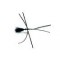 Critter Black