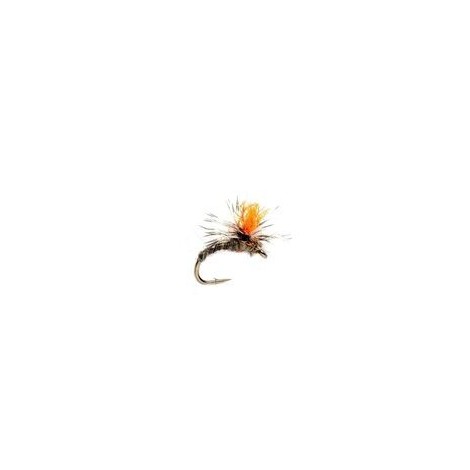 ICSI Midge