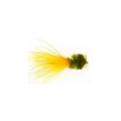 Dawson Olive Fritz Goldhead