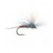 Iron Blue Dun Parachute