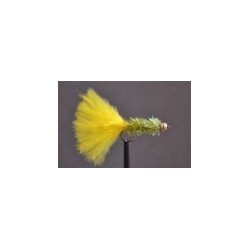 Dawsons Olive Fritz Goldhead