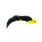 Dumbell Eye Hot Tail Black