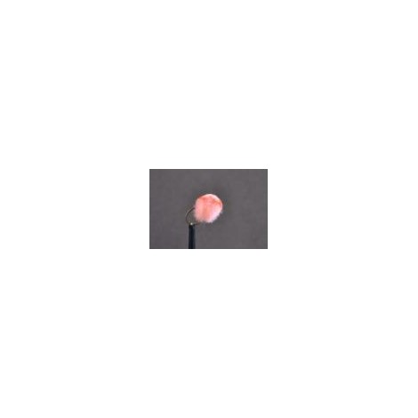 Egg  Shrimp Pink