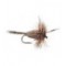 Irresistible Adams Hair Wing