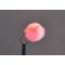 Egg Light Pink