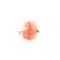 FAB Coral Spot Blob