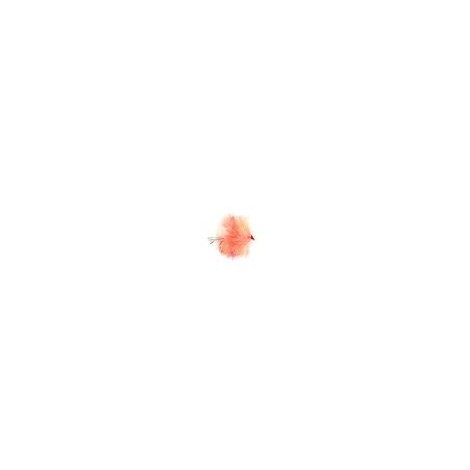 FAB Coral Spot Blob