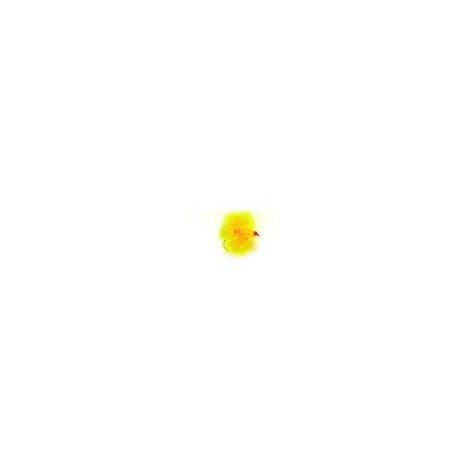 FAB Sunburst Blob