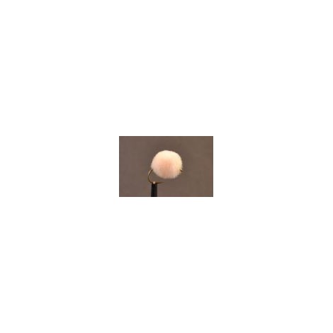 Fish Egg