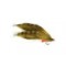 Freds Flapper Olive