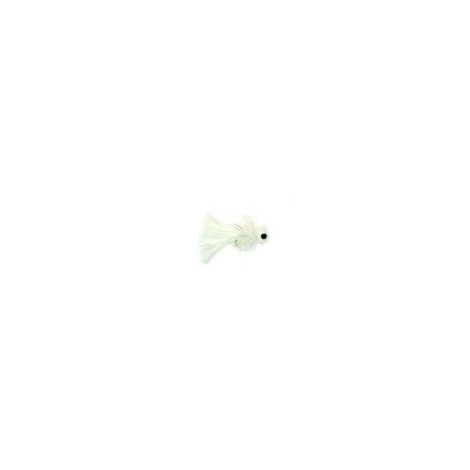 Ghost White Booby