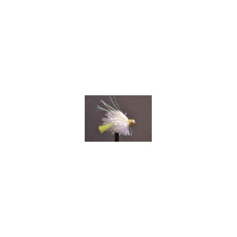 Goldhead White Blob