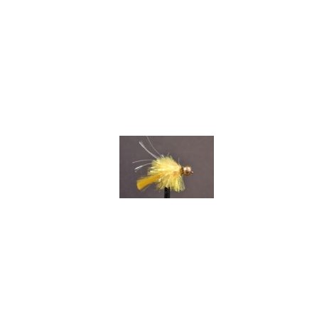 Goldhead Yellow Blob