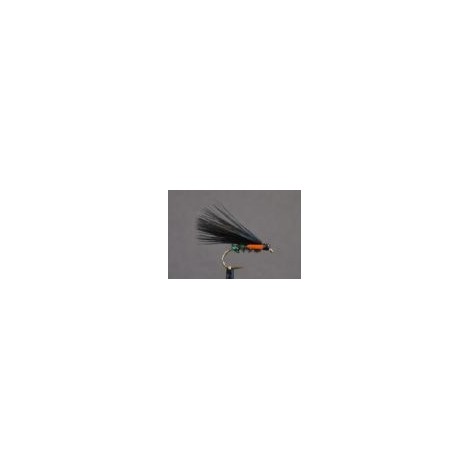 Green Holo Cormorant